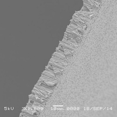 Polycarbonate Track Etched (PCTE) Membrane