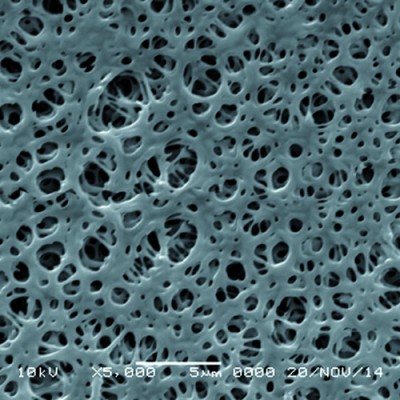 Polyethersulfone (PES) Membrane Filter