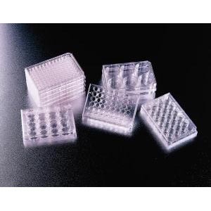 Falcon Multiwell Cell Culture Plates.