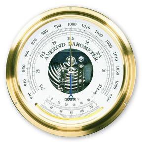 Oakton Aneroid Barometer